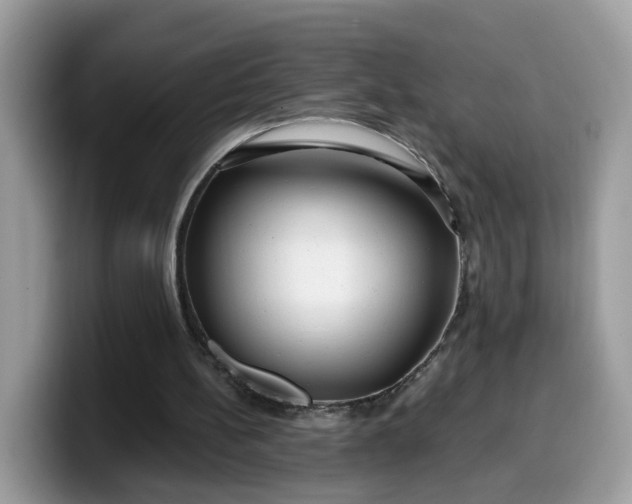 X0000099580148200805301606