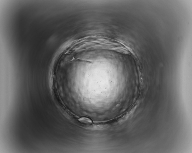 X0000099580149200805301606