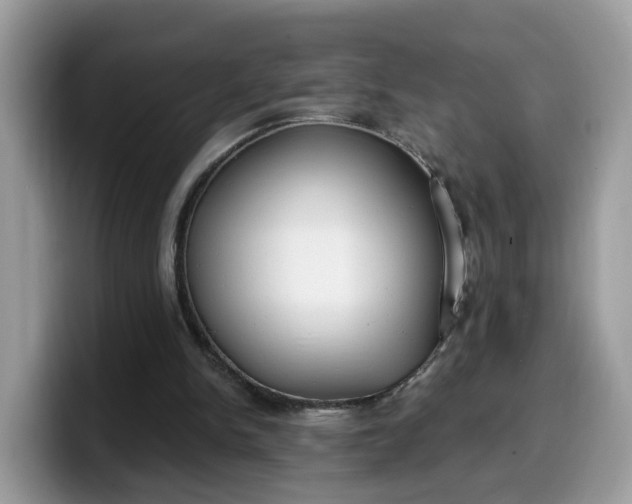 X0000099580150200805301606