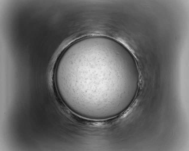 X0000099580151200805301606