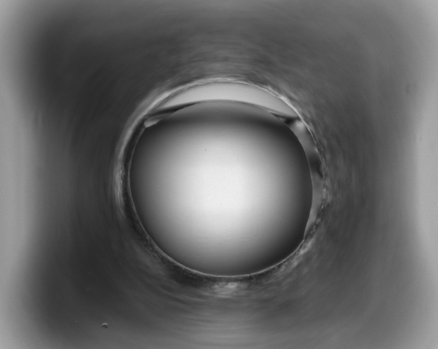 X0000099580152200805301606