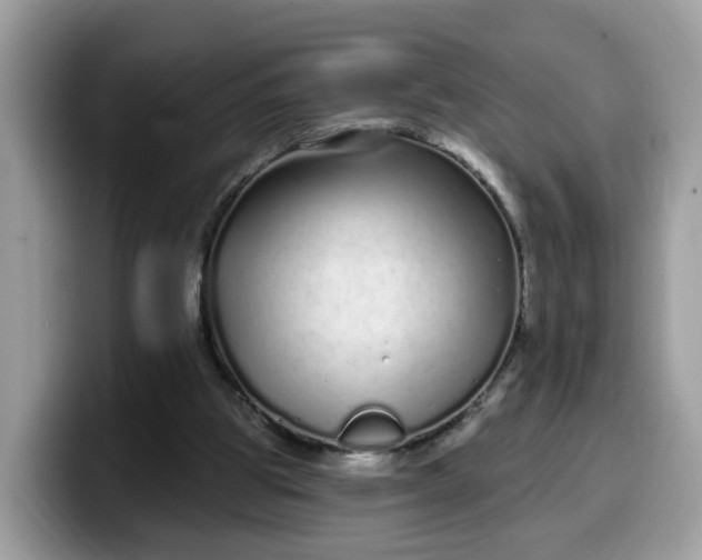 X0000099580153200805301606