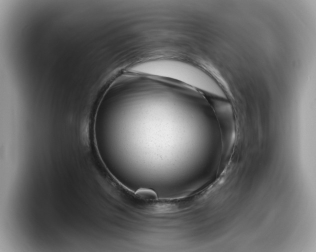 X0000099580154200805301606