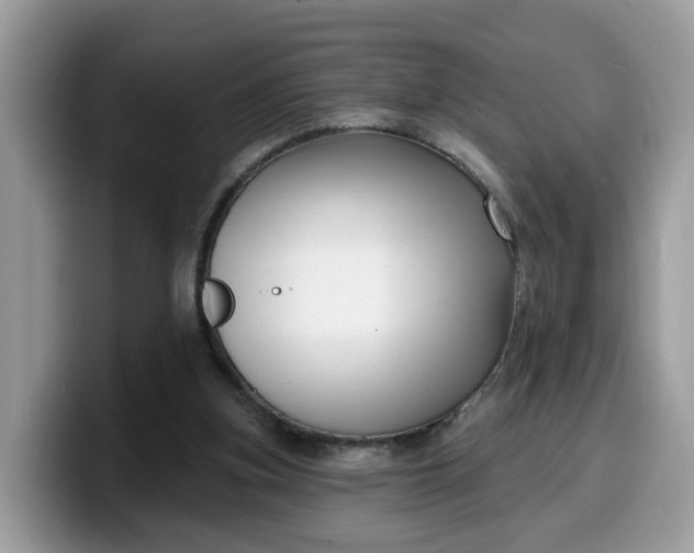 X0000099580155200805301606