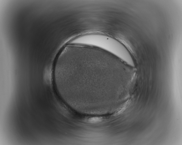 X0000099580156200805301606