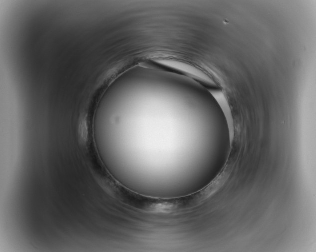 X0000099580158200805301606