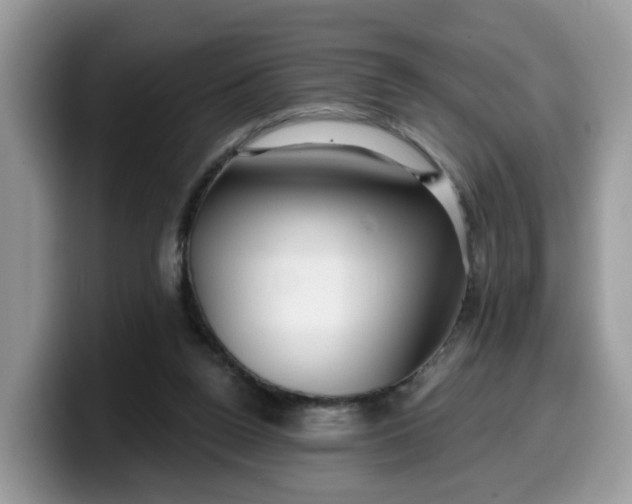 X0000099580160200805301606