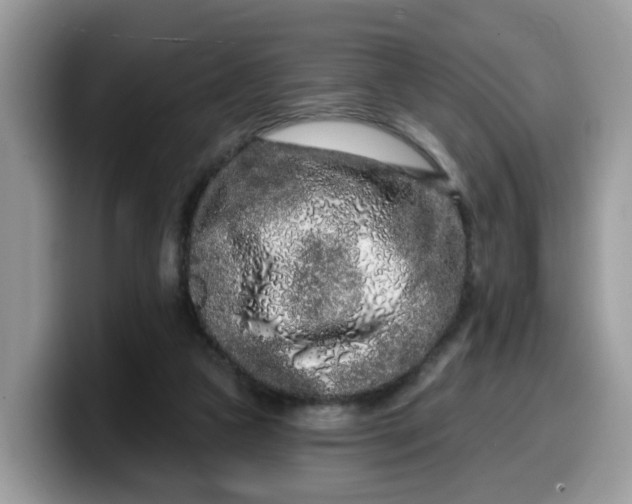 X0000099580161200805301606