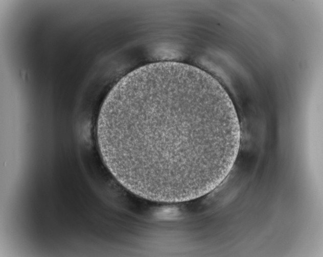 X0000099580162200805301606