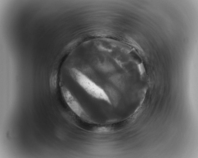 X0000099580163200805301606