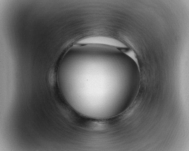 X0000099580164200805301606