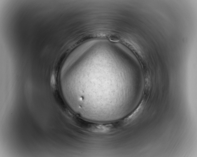 X0000099580166200805301606