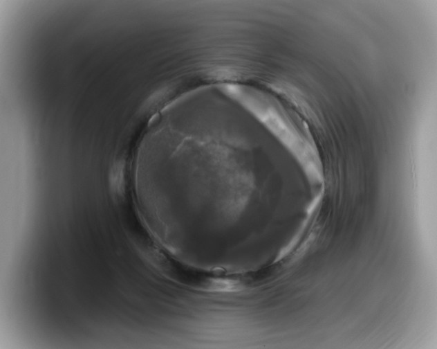 X0000099580167200805301606