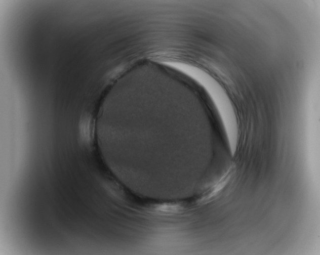 X0000099580168200805301606