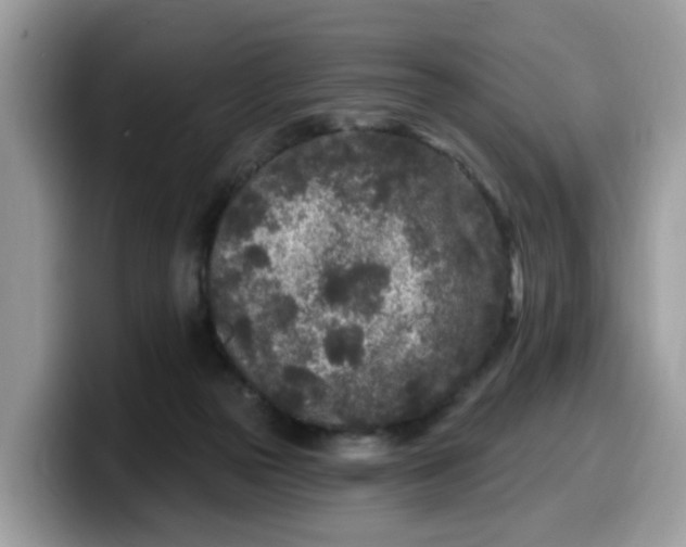 X0000099580169200805301606