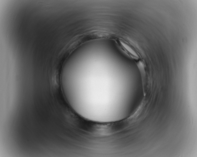 X0000099580170200805301606