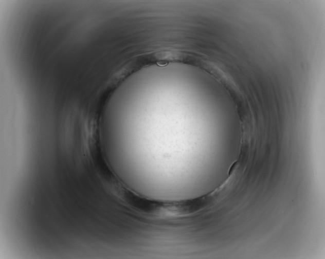 X0000099580171200805301606