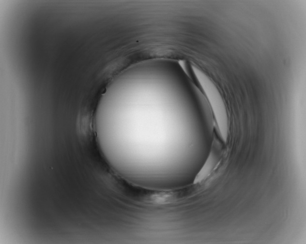 X0000099580172200805301606