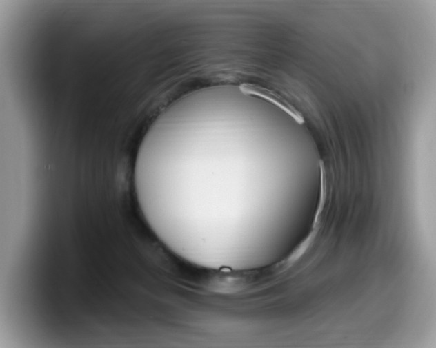 X0000099580174200805301606