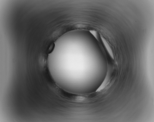 X0000099580176200805301606