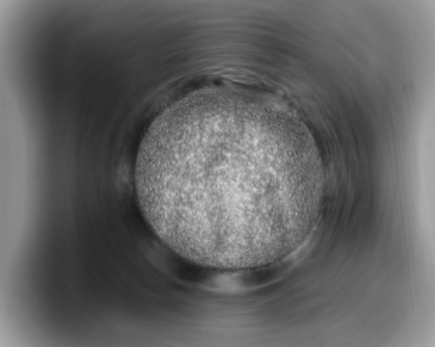 X0000099580178200805301606