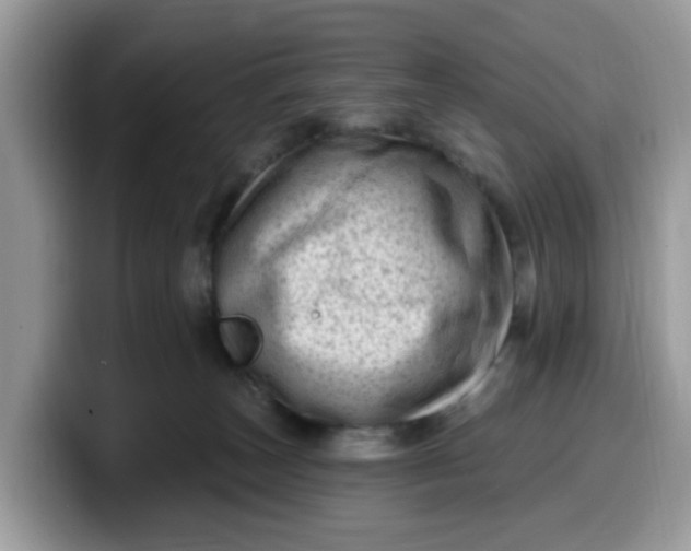 X0000099580179200805301606