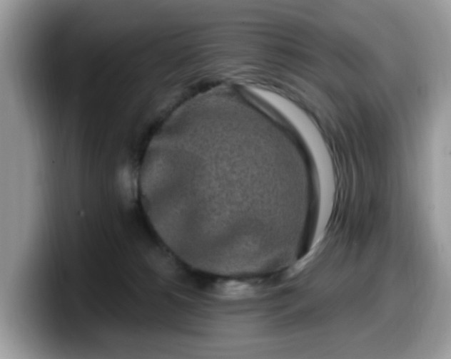 X0000099580180200805301606