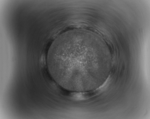 X0000099580182200805301606