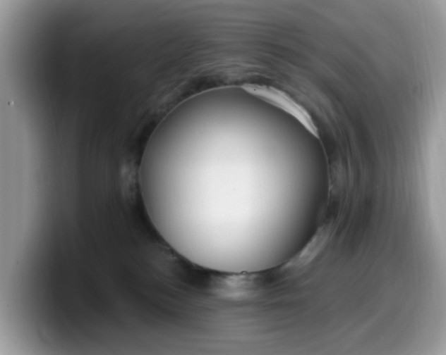 X0000099580184200805301606