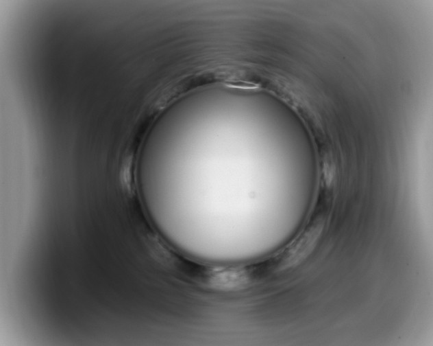 X0000099580185200805301606