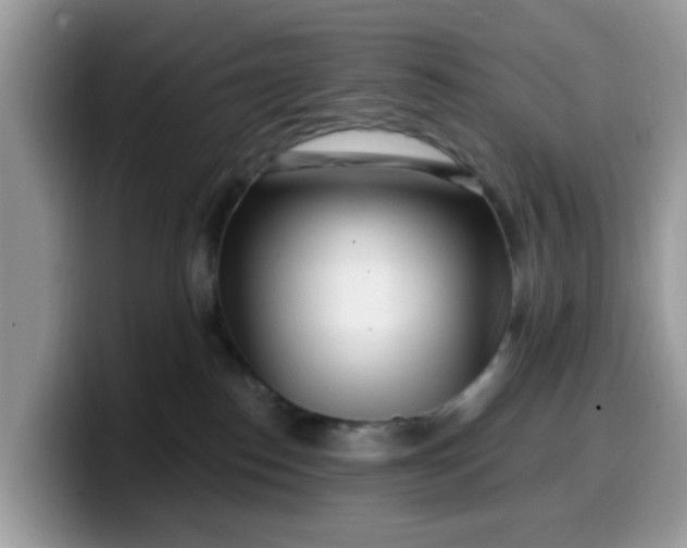 X0000099580186200805301606