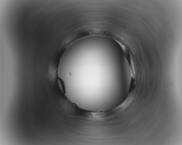 X0000099580188200805301606