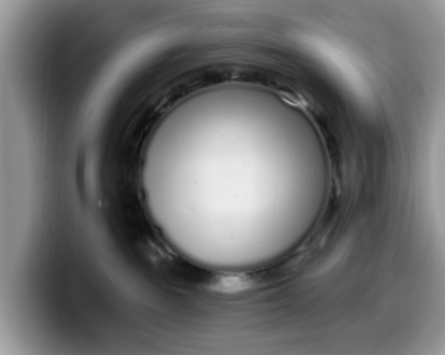 X0000099580189200805301606