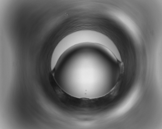 X0000099580190200805301606