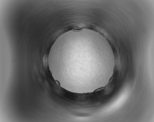 X0000099580191200805301606