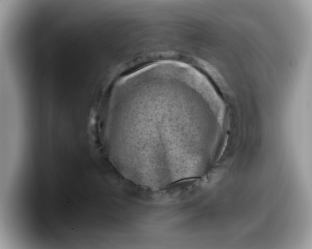 X0000099580192200805301607