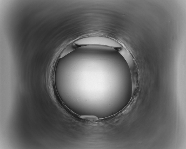 X0000099580193200805301606