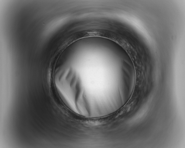 X0000099580194200805301606