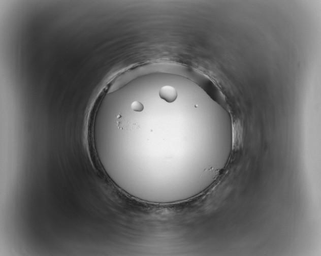 X0000099580195200805301606