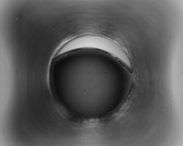 X0000099580196200805301606