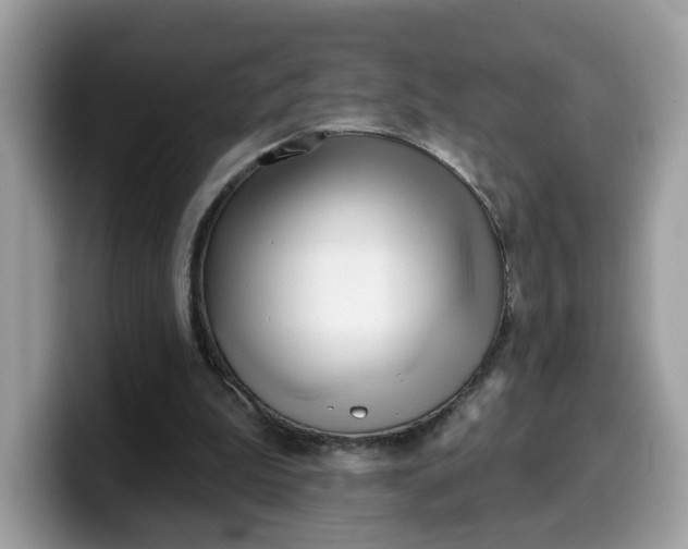 X0000099580199200805301606