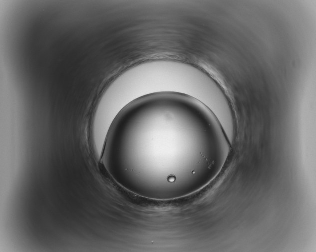 X0000099580201200805301606