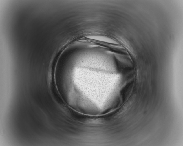 X0000099580202200805301606