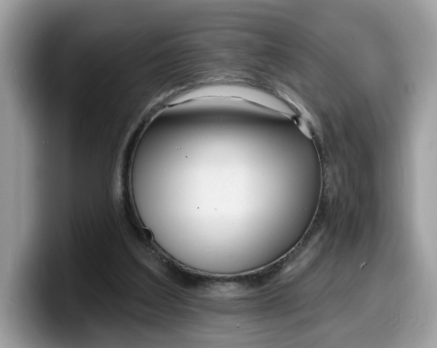 X0000099580203200805301606