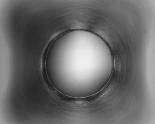 X0000099580204200805301606