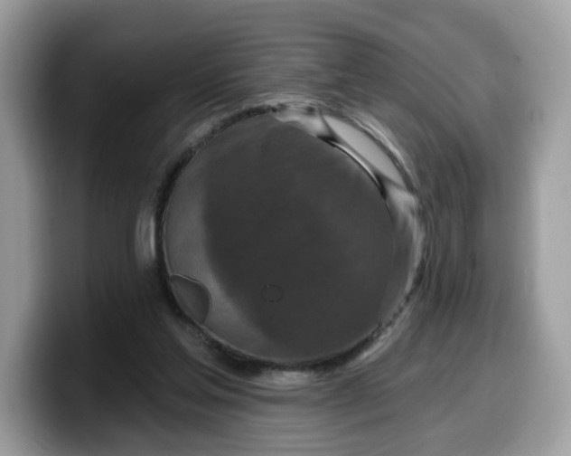 X0000099580205200805301606