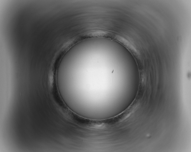 X0000099580206200805301606