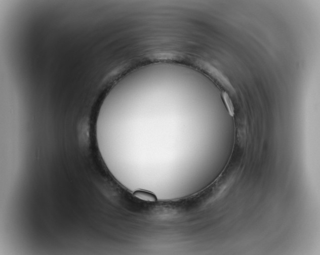 X0000099580207200805301606