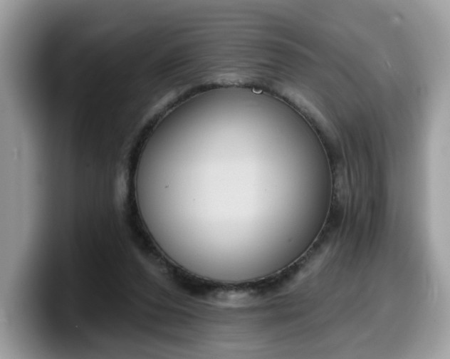 X0000099580208200805301606