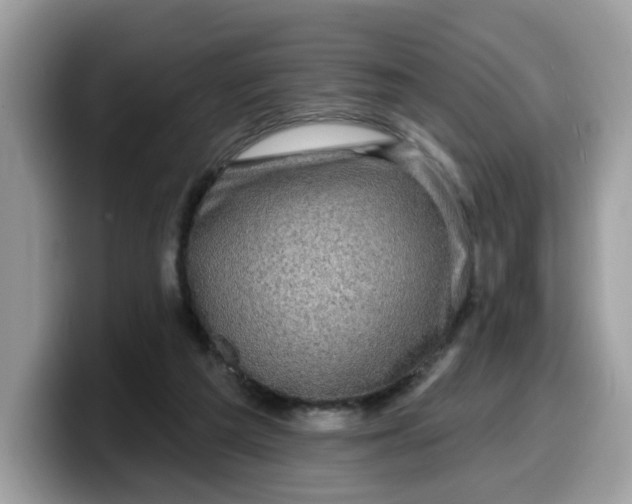 X0000099580209200805301606